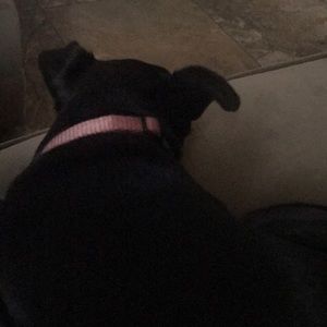 Meet your Posher, Gina